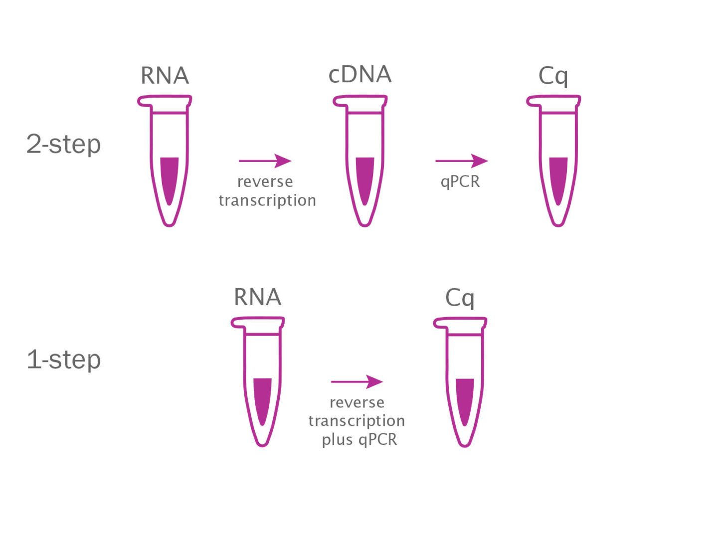 Two Step Transfer Pcr Tips & Tricks: Choosing 1-step or 2-step RT-qPCR - PCR Biosystems
