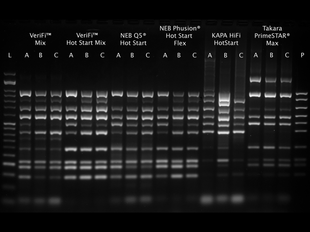 Figure showing comparison of VeriFi Hot Start Polymerase and competing high fidelity enzymes in multiplex