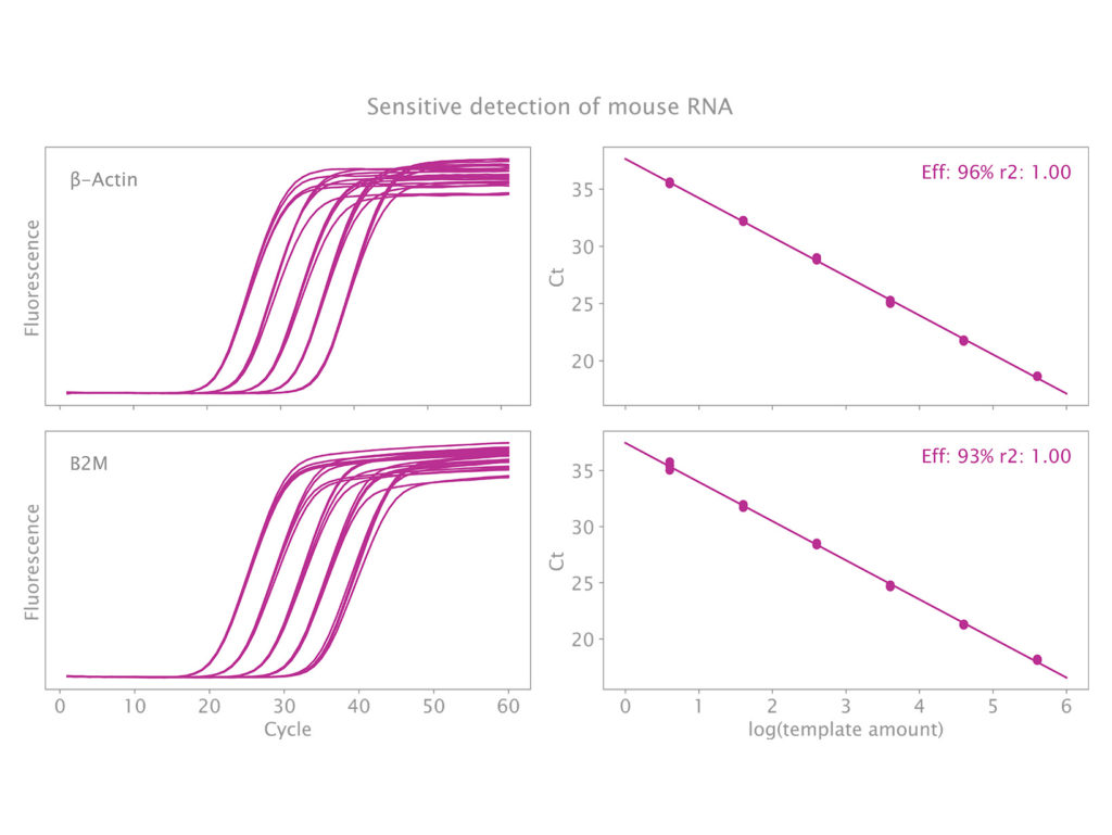 Clara Probe 1-Step Mix - RNA Singleplex