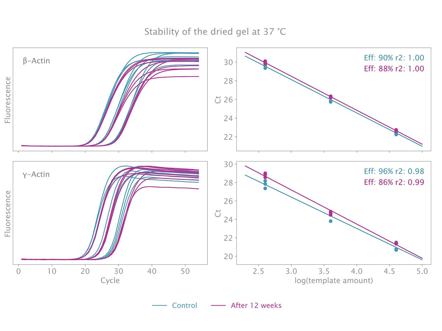 Dried Air-Dryable Probe 1-Step Mix remains stable at 37 C for at least 12 weeks
