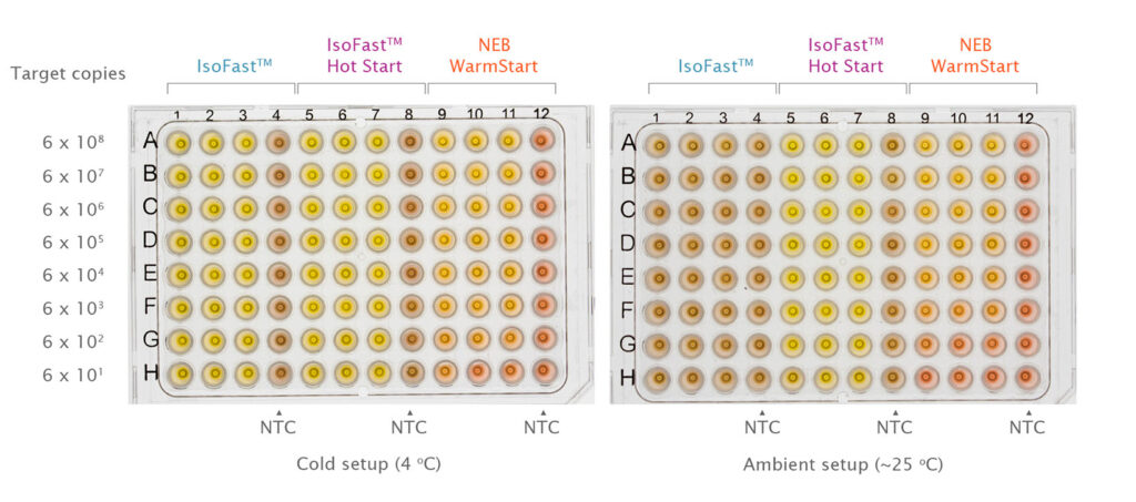 Performance benchmarking result of IsoFast Hot Start Colour Mix for colour isothermal amplification
