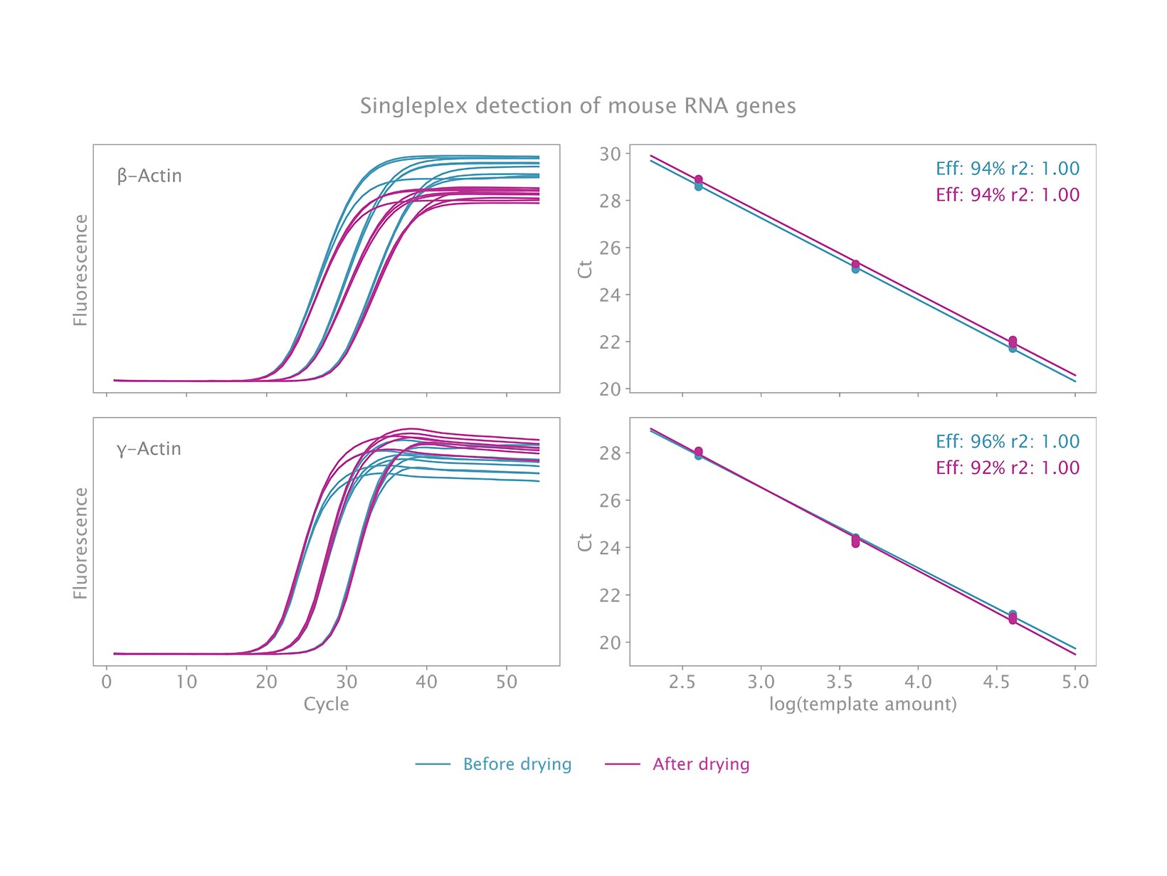 Air-Dryable Probe 1-Step Mix is suitable for singleplex and multiplex qPCR