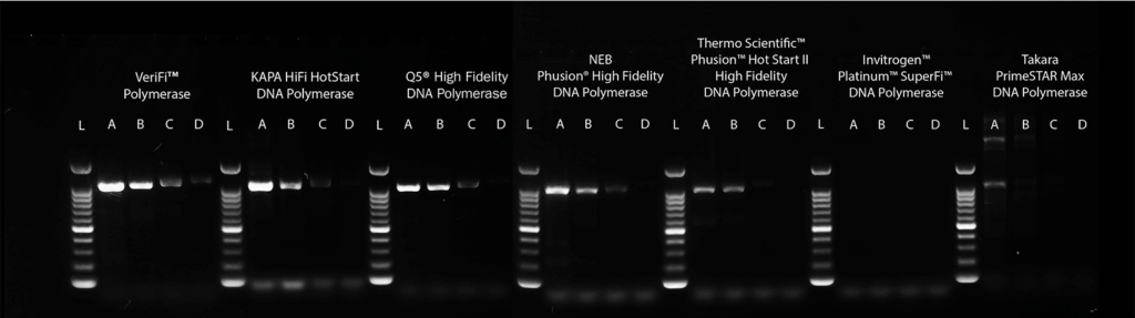 Gel image comparing the sensitivity of VeriFi Polymerase compared to leading competitors