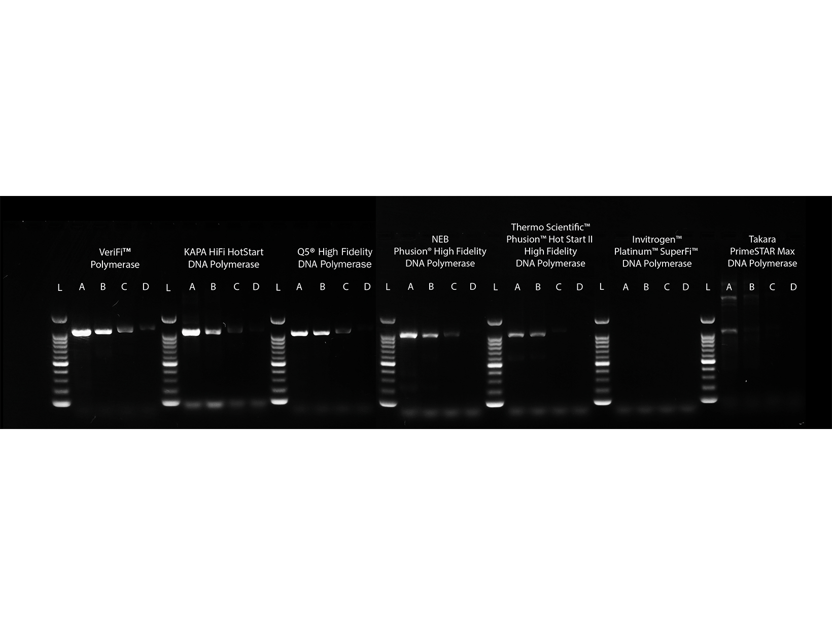 Gel image comparing the sensitivity of VeriFi™ Polymerase compared to leading competitors