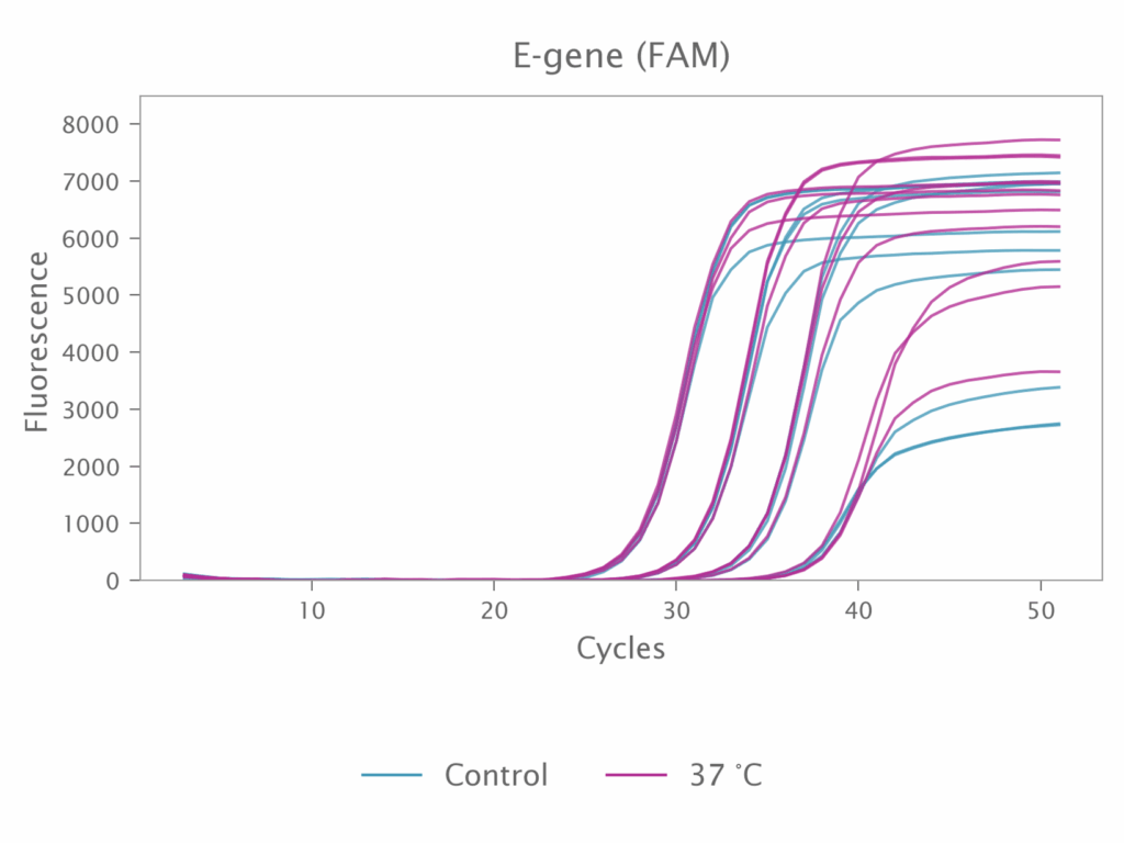 qPCR Data showing the high stability of the Lyo-Ready Inhibitor-Tolerant Probe 1-Step Kit