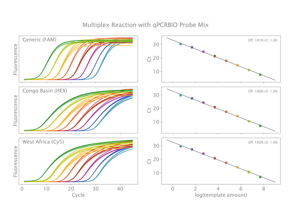 qPCRBIO Probe Mix multiplex detection of MPOX DNA targets.