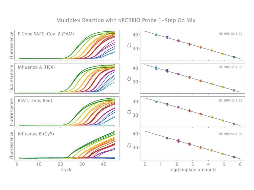 qPCRBIO Probe 1-Step Go multiplex RNA viral detection