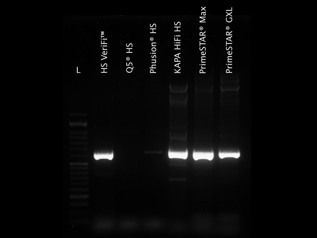 Gel image showing comparison of VeriFi™ Hot Start Mix and leading competitors amplifying a GC-rich template