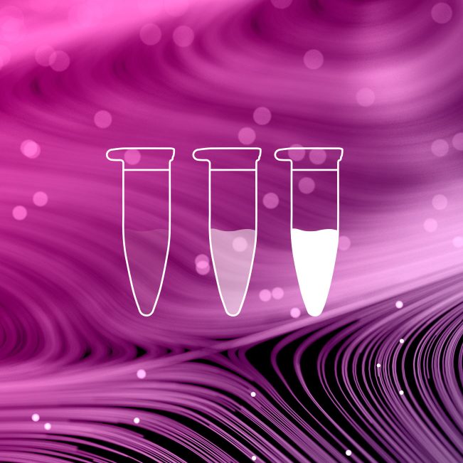 Isothermal Amplification