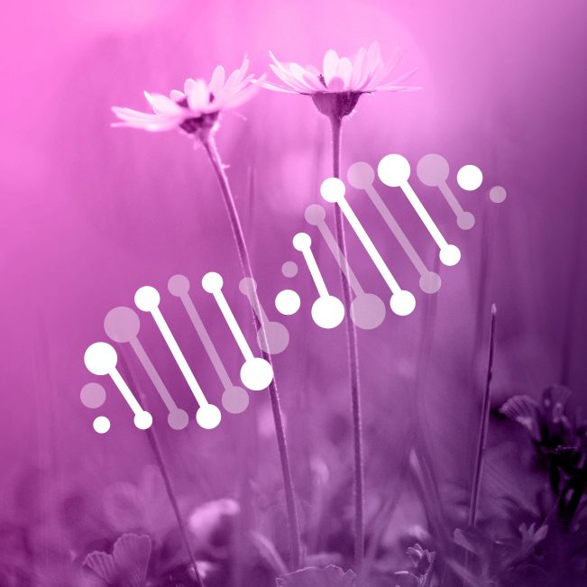 NGS
