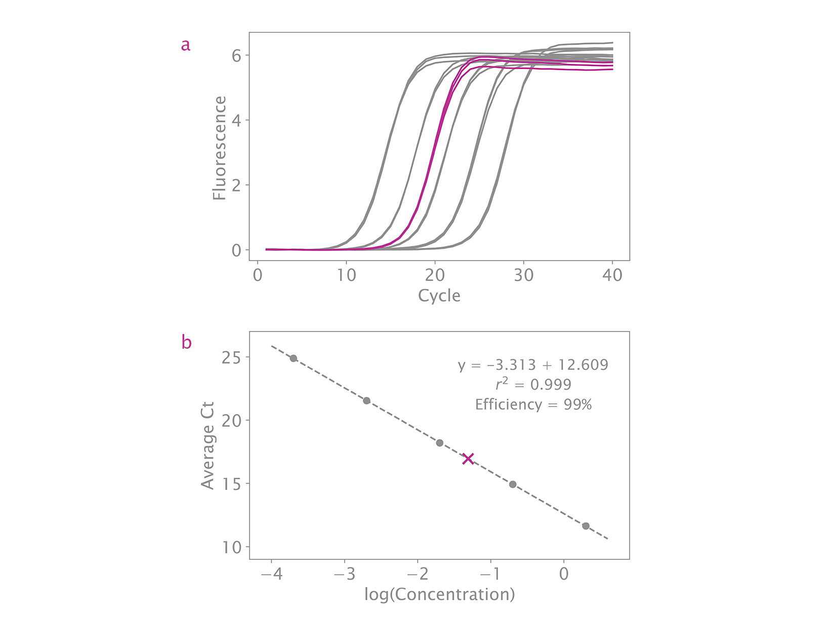 Amplification curves and standard curve generated using the NGSBIO Library Quant Kit for Illumina