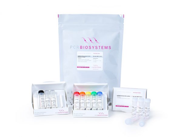 Image showing NGSBIO Library Quantification Kit for Illumina Hi-ROX PB71.12-05 500 reactions