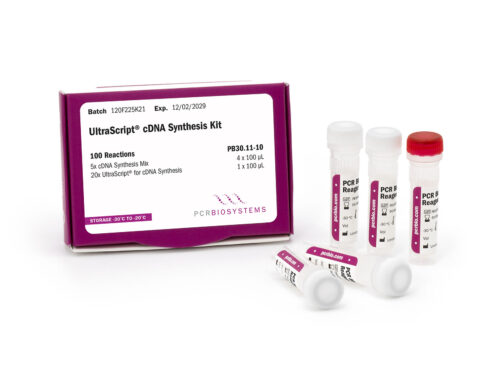 Photo of UltraScript Reverse Transcriptase for cDNA Synthesis showing the 5 tube presentation of PB30.11-10