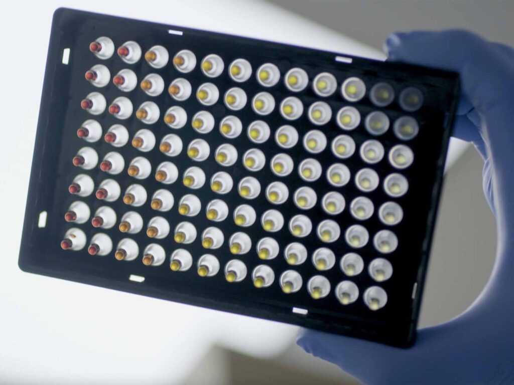 IsoFast Hot Start Colour Mix Plate colour isothermal amplification