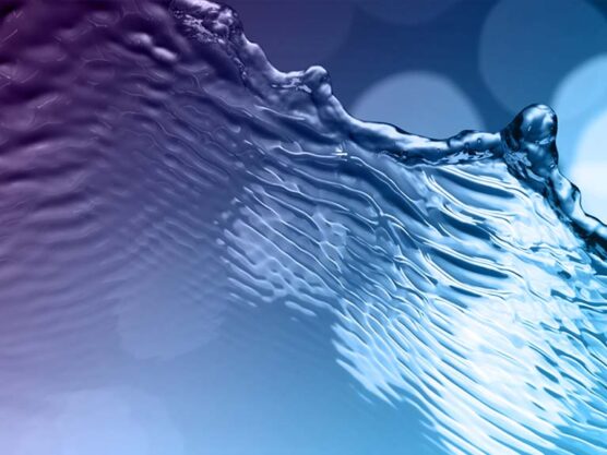 PCR Reagents for Research & Diagnostics - PCR Biosystems