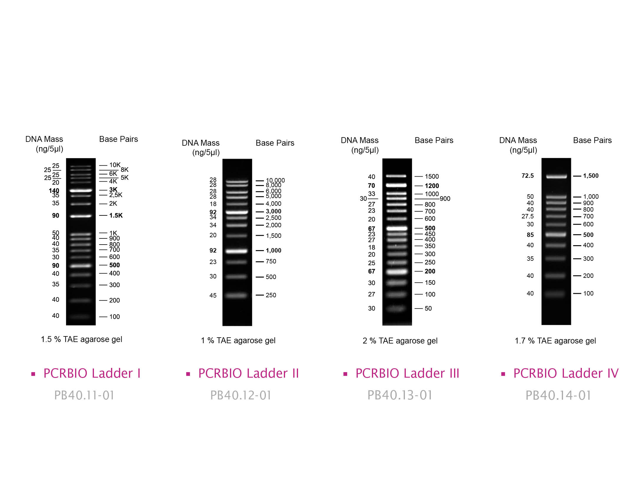Image showing PCRBIO Ladders I-IV