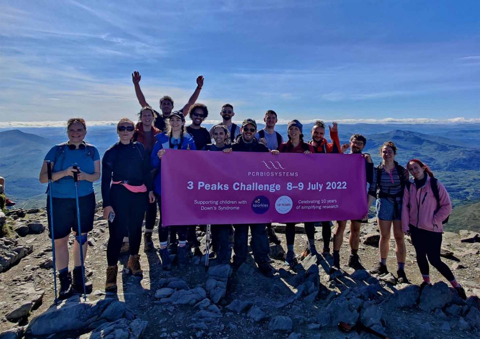 PCR Biosystems' 3 peals team at the top of Snowdon