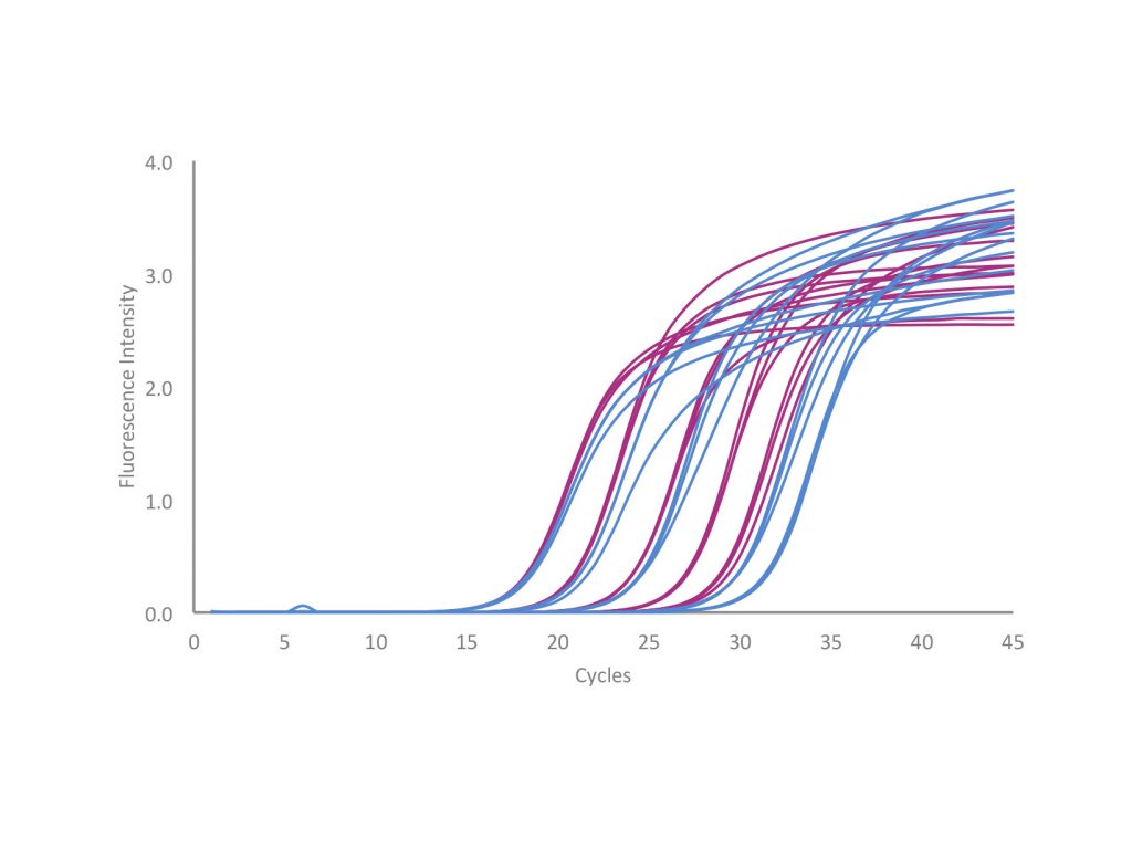 Comparison of qPCRBIO SyGreen 1-Step Go versus competitor Bioline