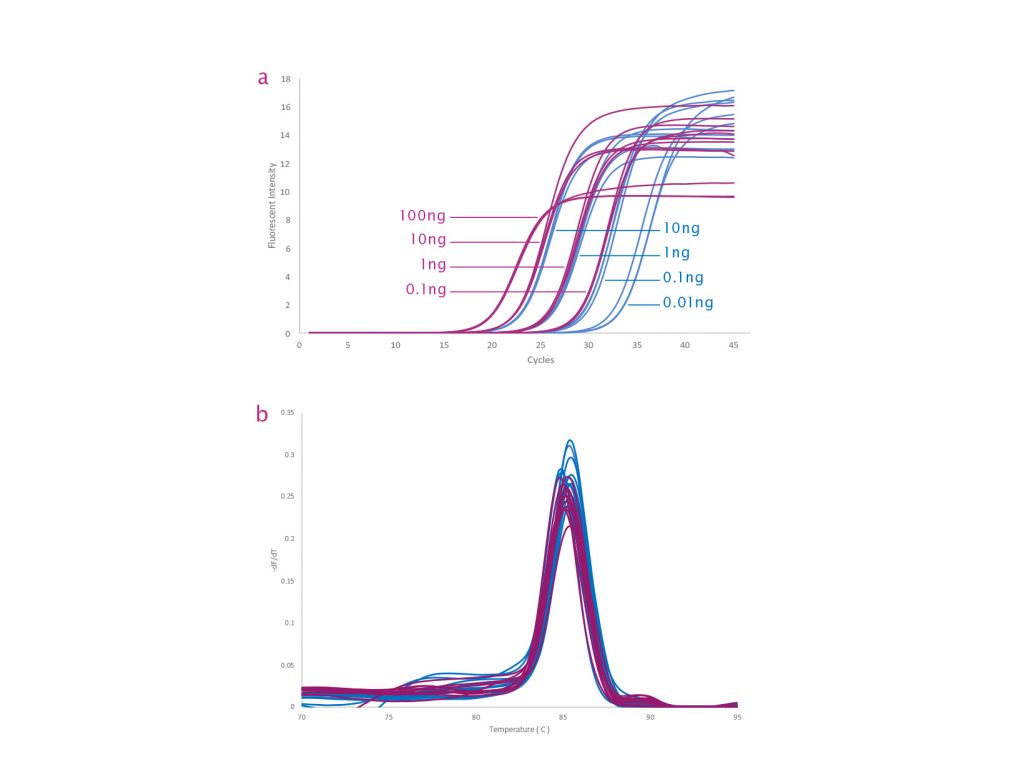Amplification traces and melt curves comparing qPCRBIO SyGreen 1-Step Detect and qPCRBIO SyGreen 1-Step Go.