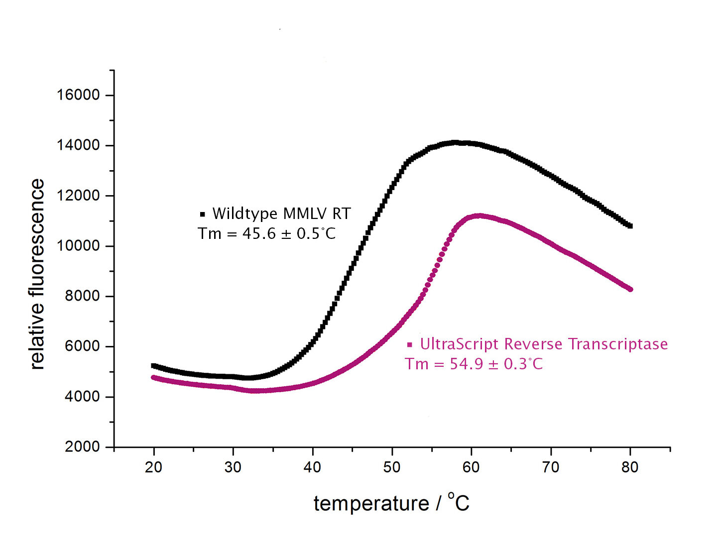 Data image of a Sypro Orange fluorescence assay comparing the melting temperature of wild type MMLV reverse transcriptase and UltraScript Reverse Transcriptase