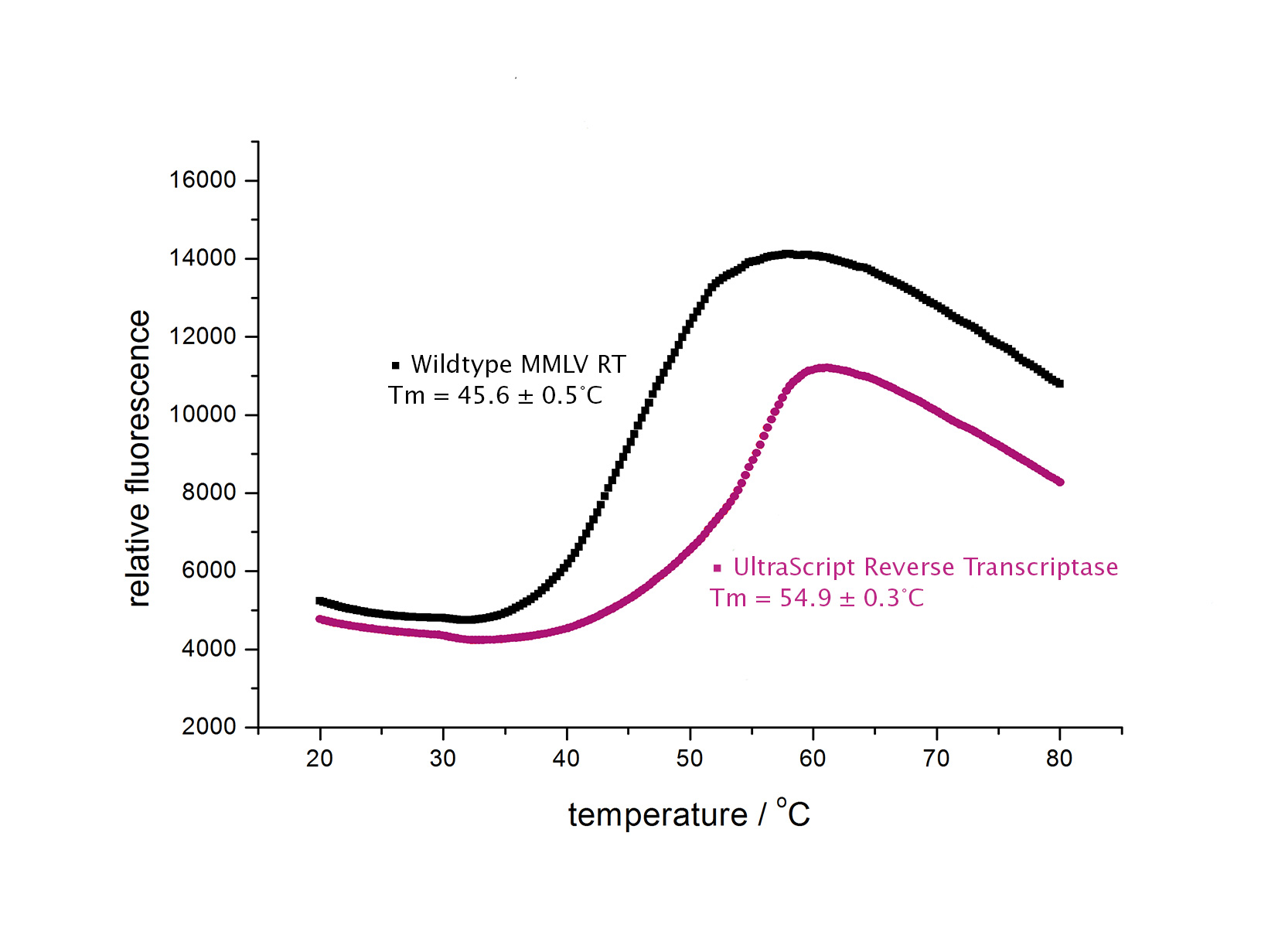 Data image of a Sypro Orange fluorescence assay comparing the melting temperature of wild type MMLV reverse transcriptase and UltraScript Reverse Transcriptase