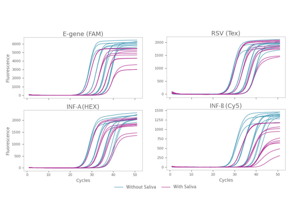 Quadruplex detection with and without saliva