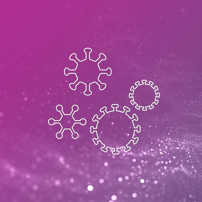 cDNA Synthesis