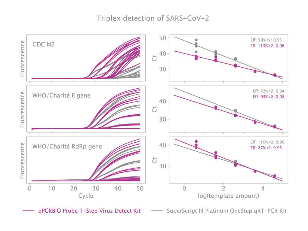 Triplex detection of SARS-CoV-2 using N2 (CDC), E (Charite) and RdRp (Charite) primer probe sequences using qPCRBIO Probe 1-Step Virus Detect