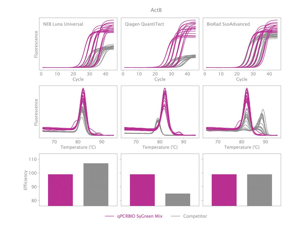 Amplification of Beta Actin using qPCRBIO SyGreen Mix and 3 different competitor mixes, with visualisation dye