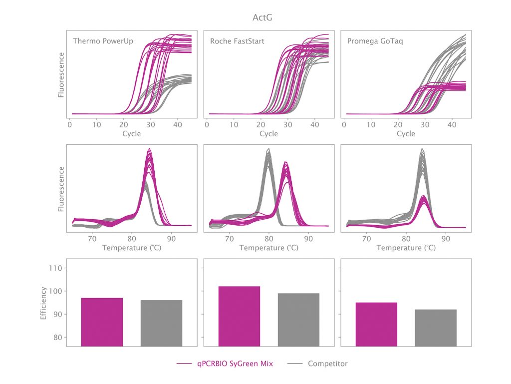 Amplification of Gamma Actin using qPCRBIO SyGreen Mix and 3 different competitor mixes